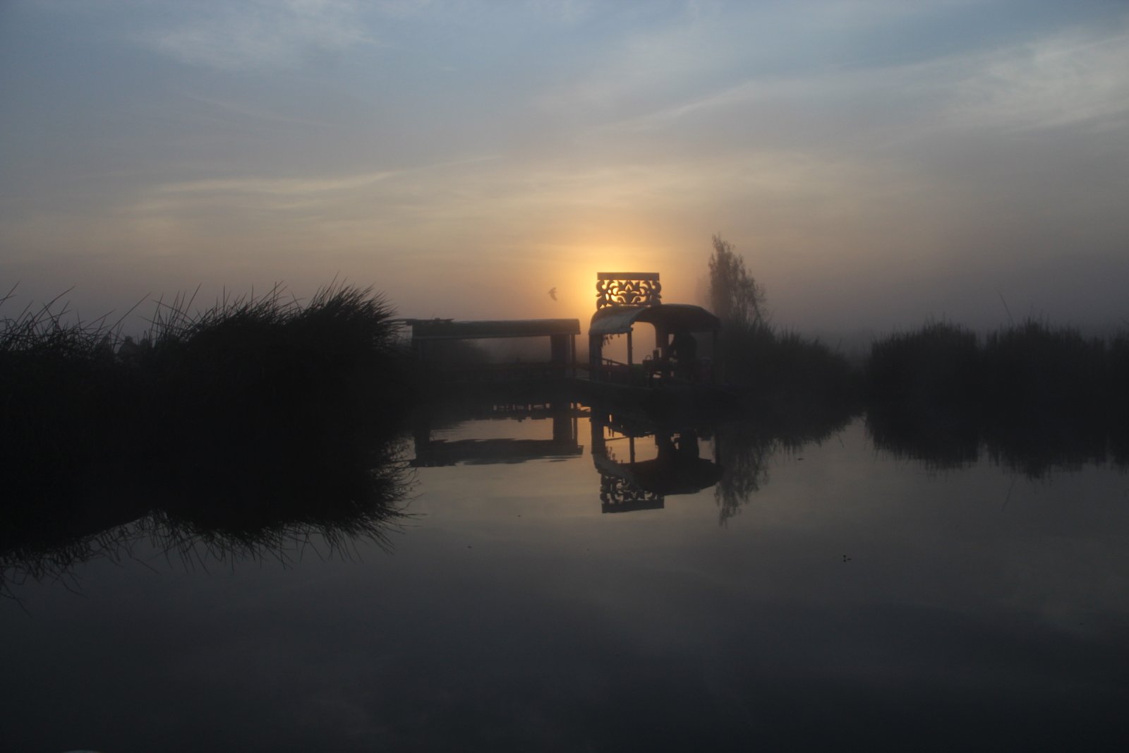 Tour Atardecer en Trajinera en Xochimilco