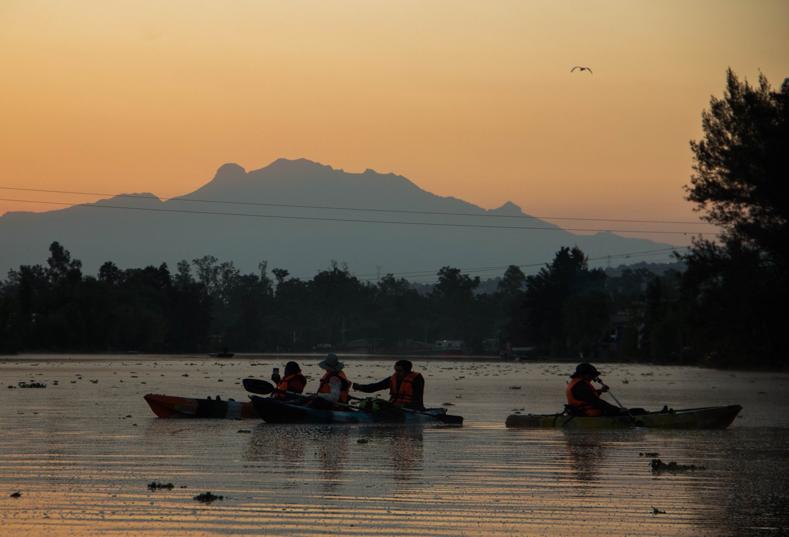 Kayak Tours Xochimilco: Explora canales y humedales