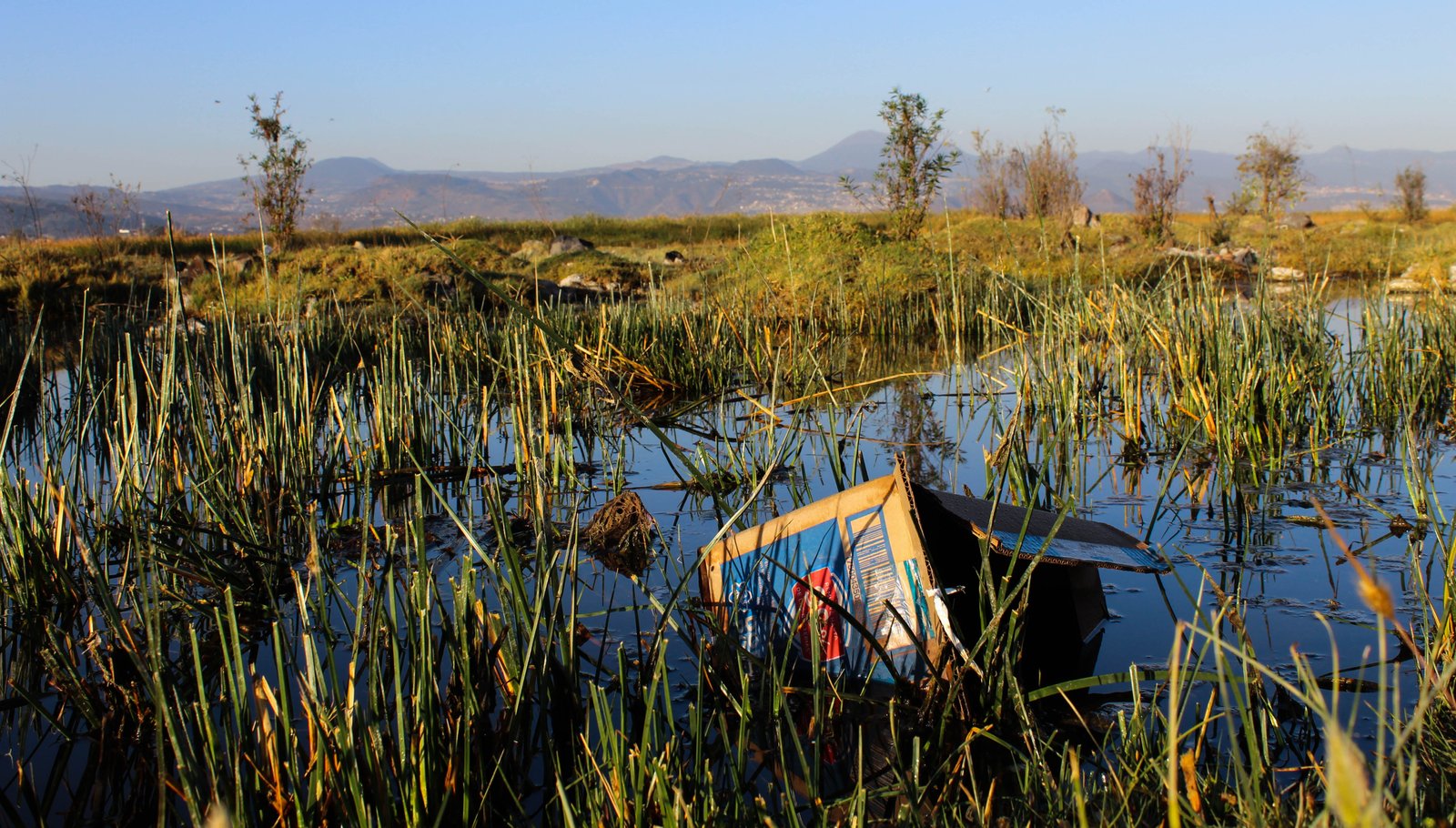 Eliminación de plásticos en los canales de Xochimilco